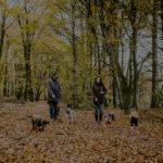 Dog Walking Service in Eastbourne