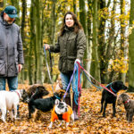 Professional Dog Walker Eastbourne